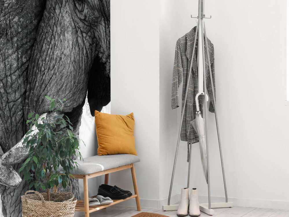 Fotobehang olifanten