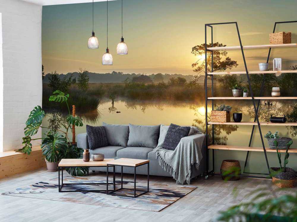 Zonsopkomst bij bosven