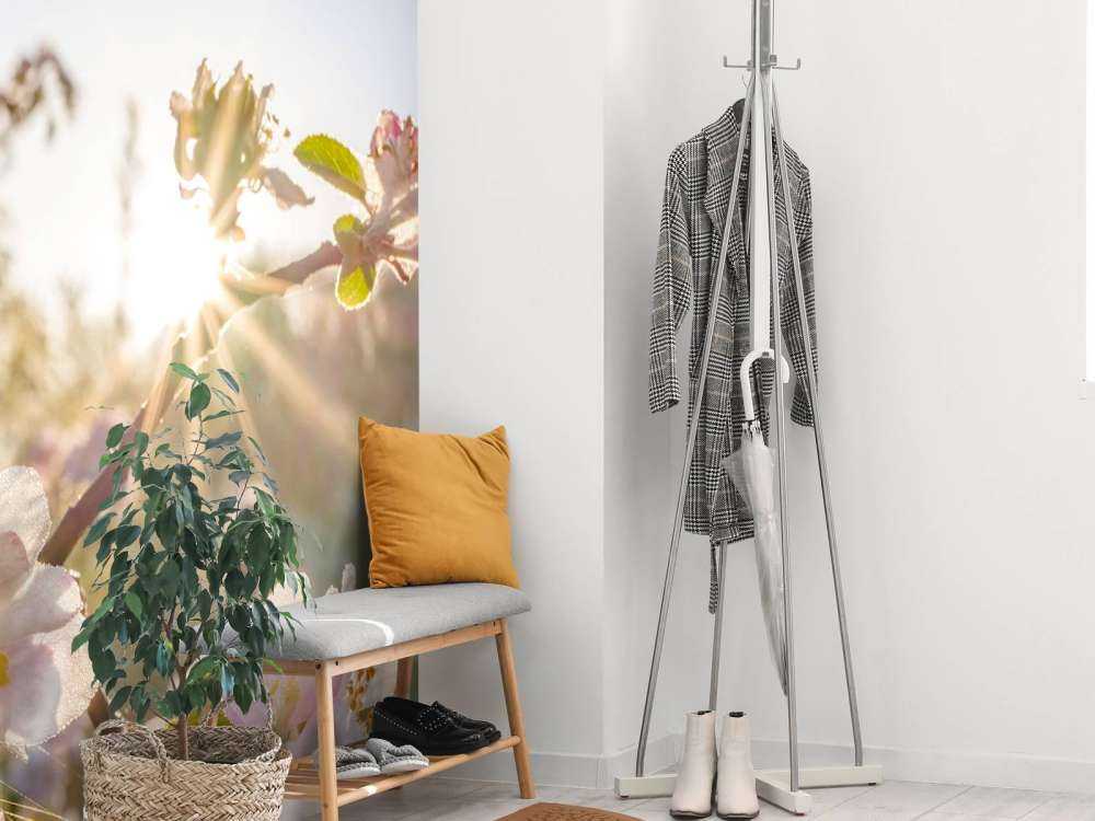 Felle Zon achter Bloesem takjes