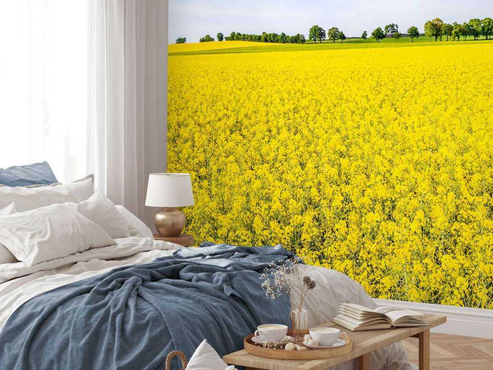 Gele koolzaadvelden