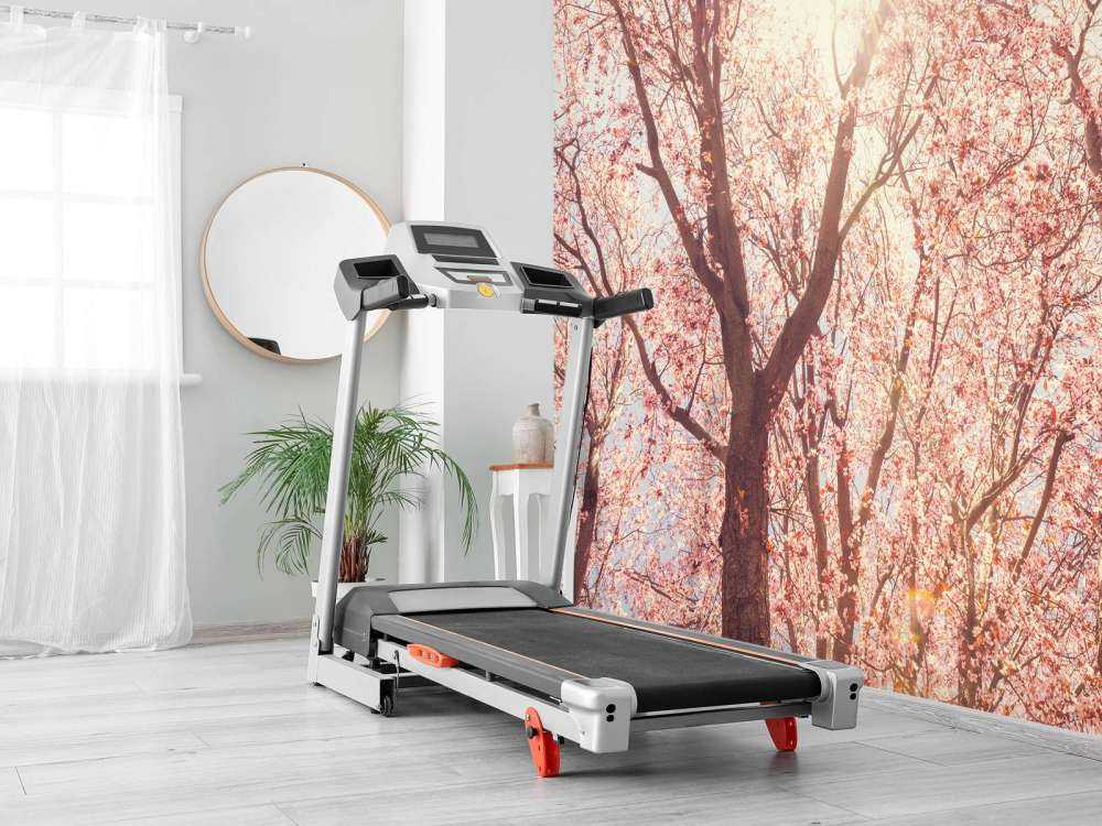 Boom Bloesem met Zon op Achtergrond