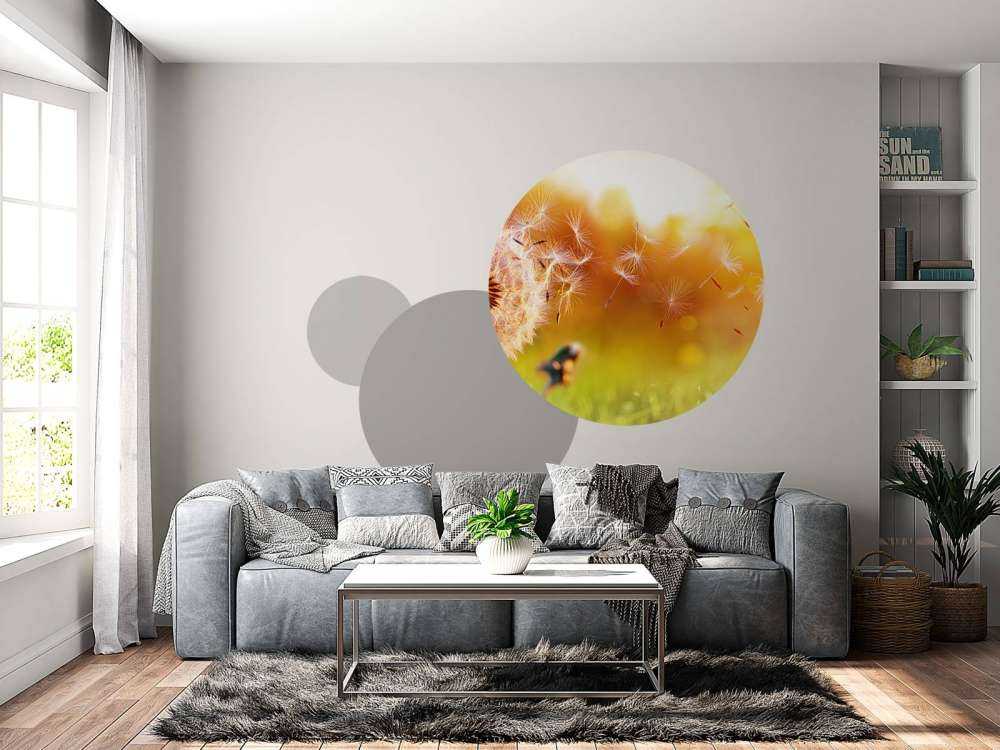 Paardebloemen onder rood licht