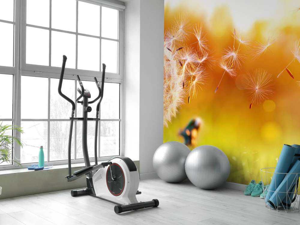 Paardebloemen onder rood licht