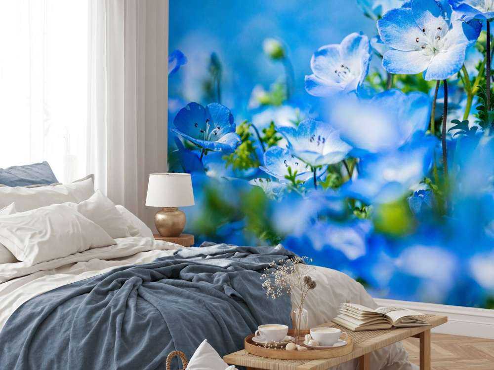 Blauw witte Bosliefjes