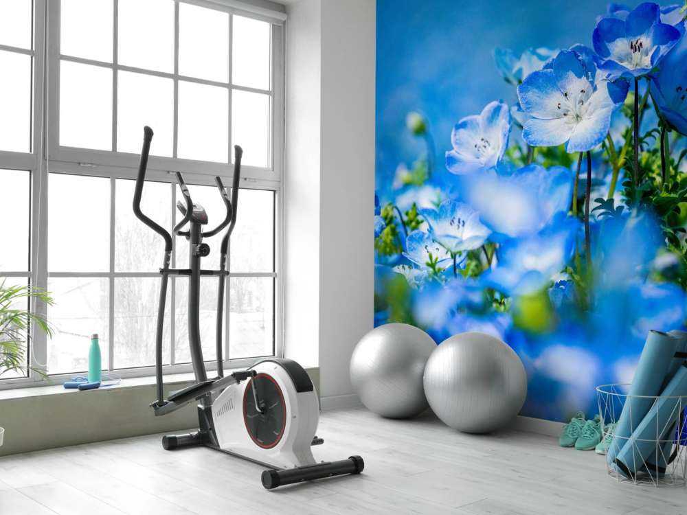 Blauw witte Bosliefjes