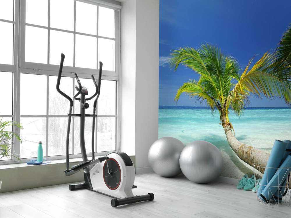 Bijzondere palmboom op het strand