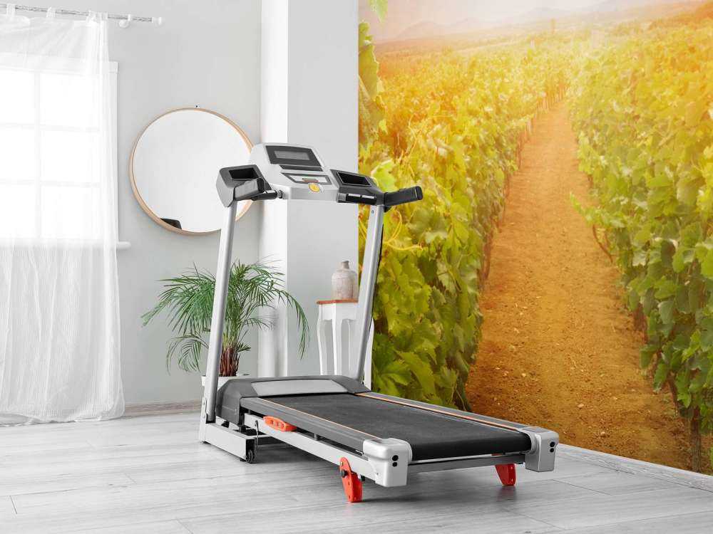 Wijngaard met druiven op de voorgrond