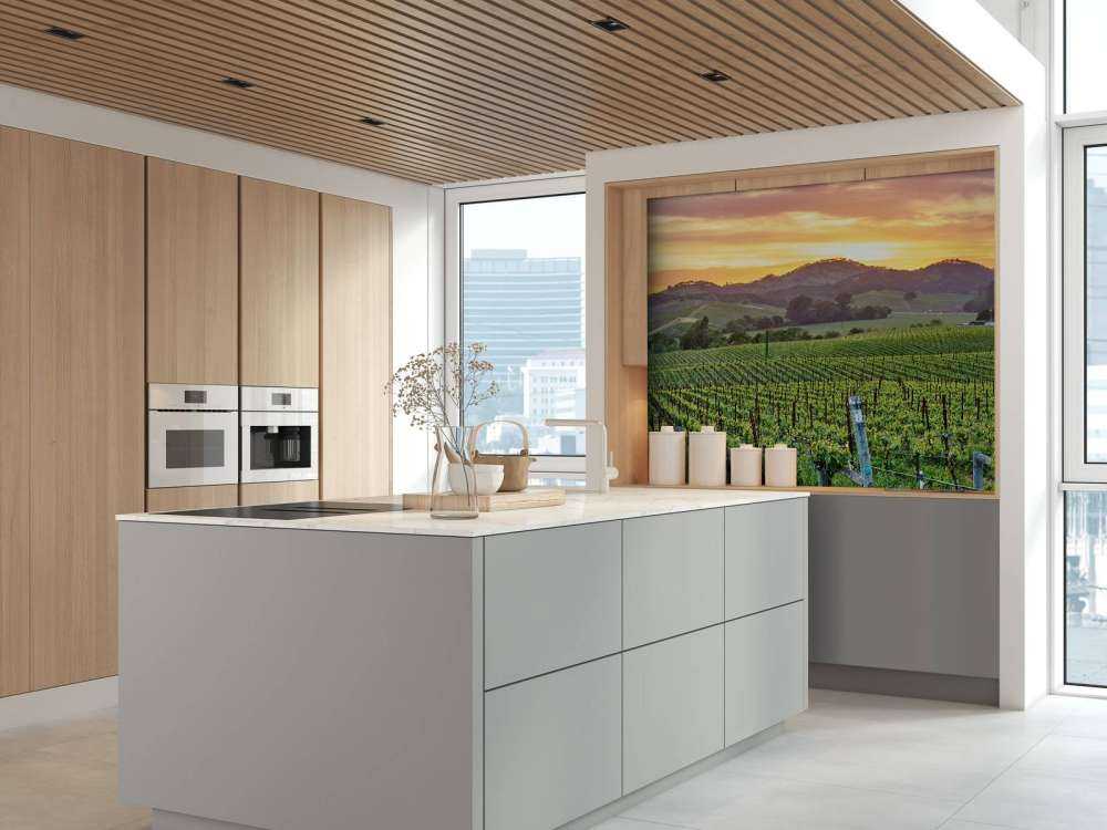 Wijngaard in Californië