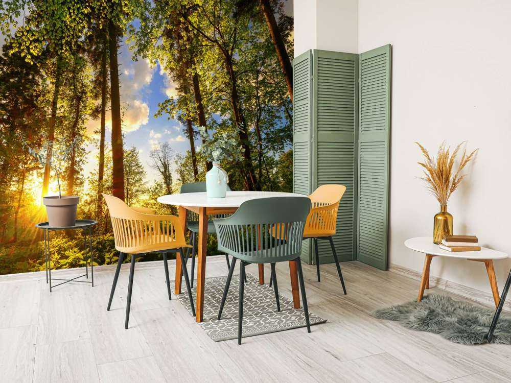 Zonsondergang door de bomen