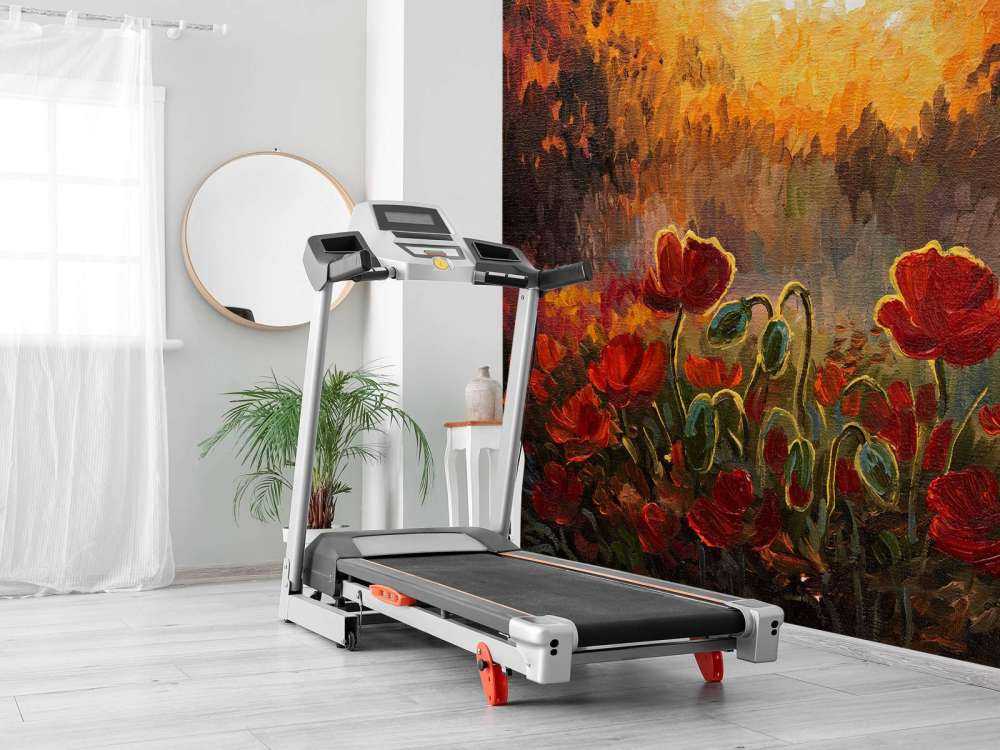 Olieverfschilderij van klaprozen bij zonsondergang