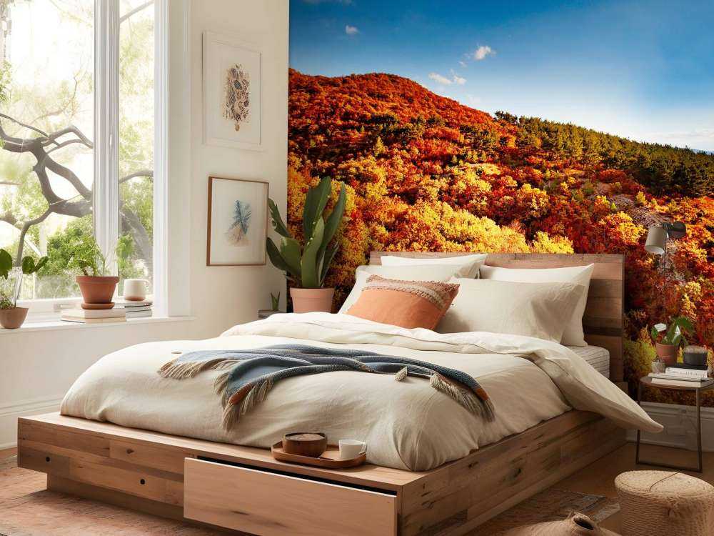 Landschap met gekleurde bomen