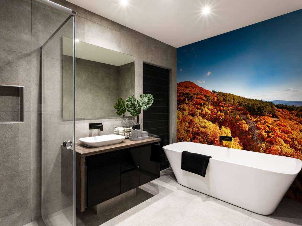 Landschap met gekleurde bomen