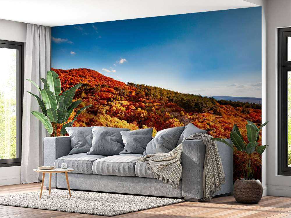 Landschap met gekleurde bomen