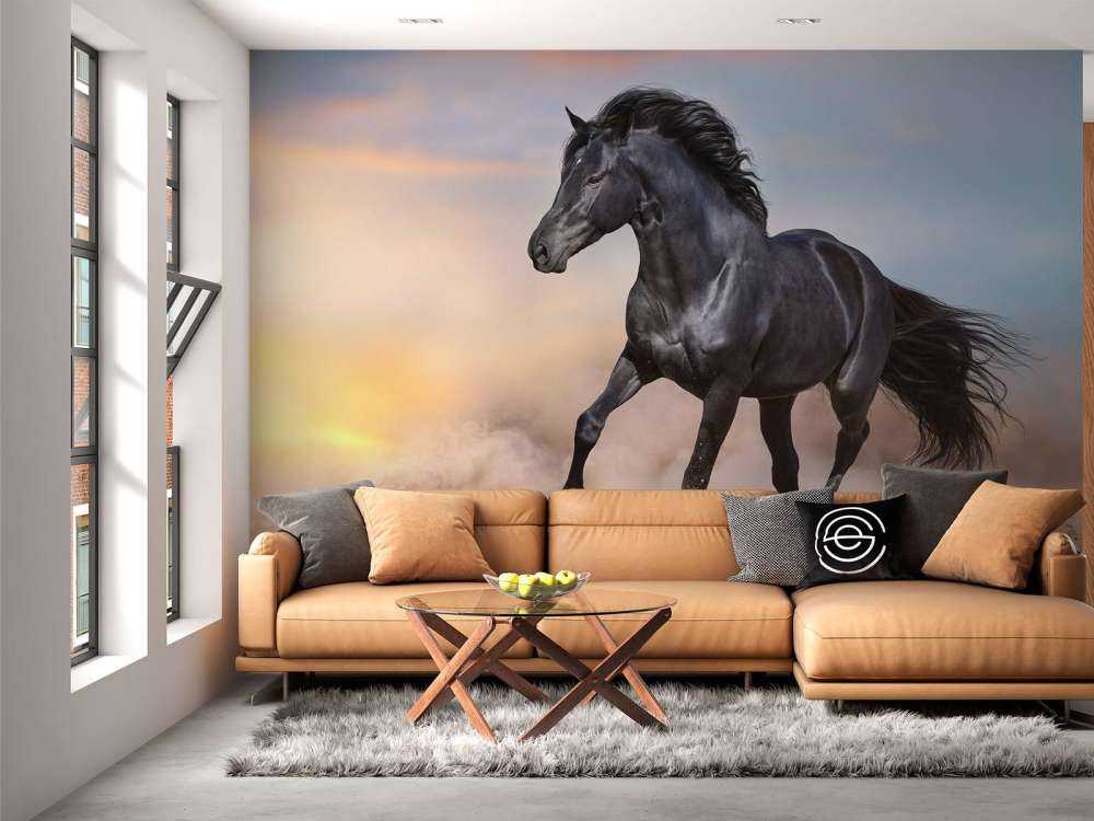 Mooi Zwart Paard in Zand