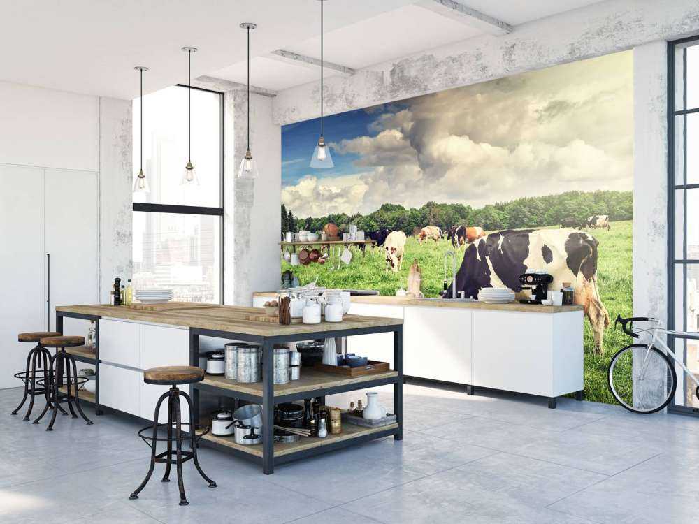 Koeien grazen in weide