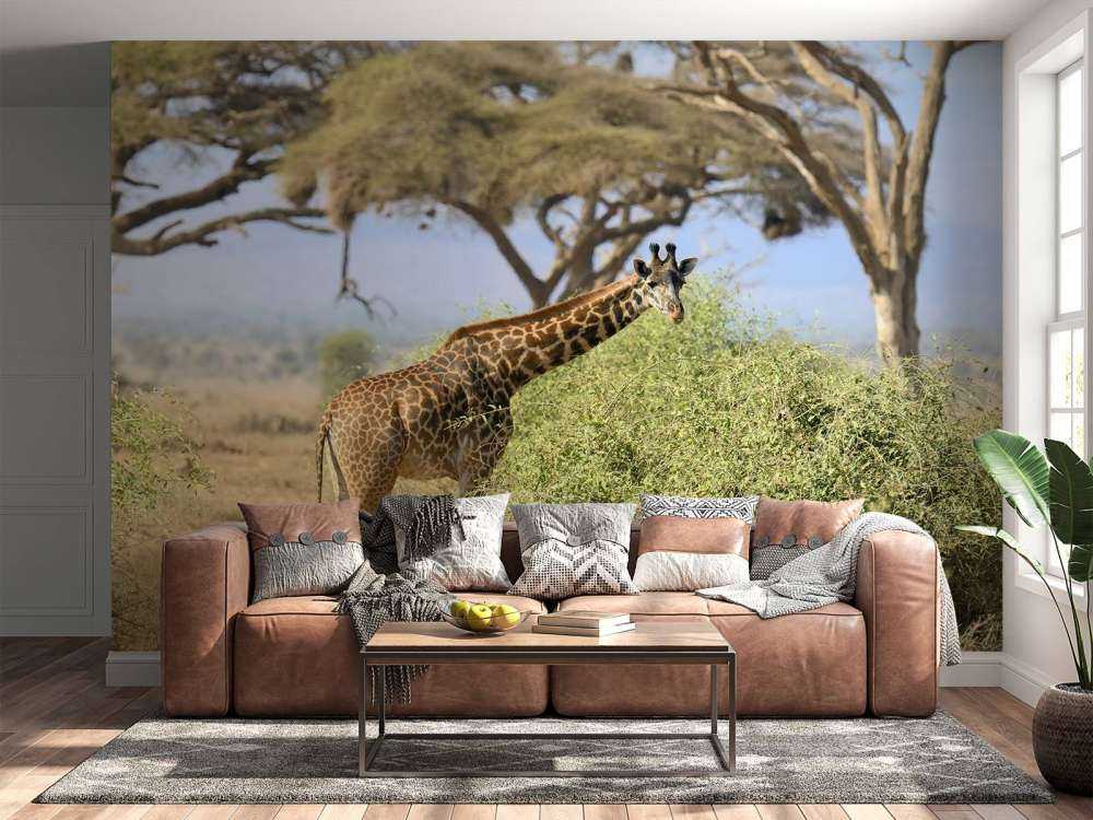 Schattige Giraffe tussen struiken