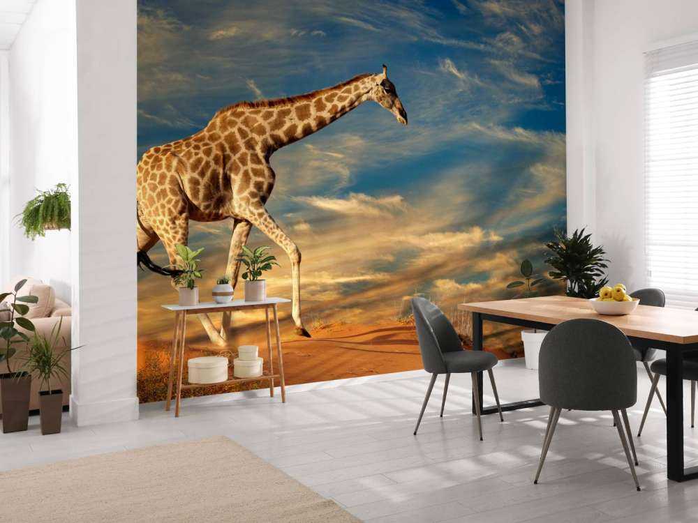 Giraffe in Zuid-Afrika lopend op zand