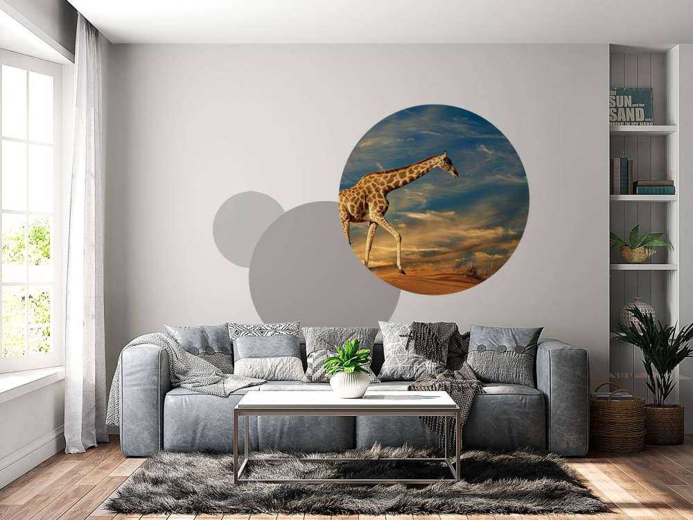 Giraffe in Zuid-Afrika lopend op zand