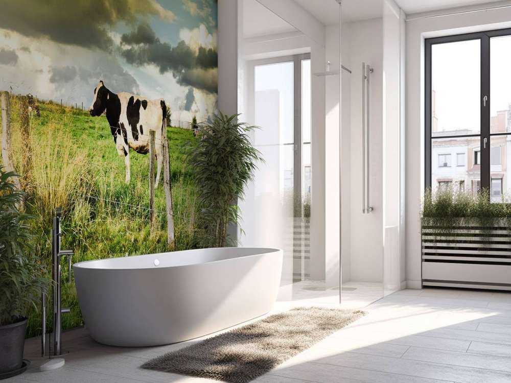 Koe tijdens zonsondergang