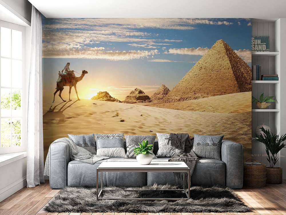 Kameel in de woestijn bij zonsondergang