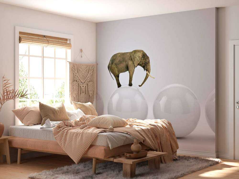 Olifant op een witte bal