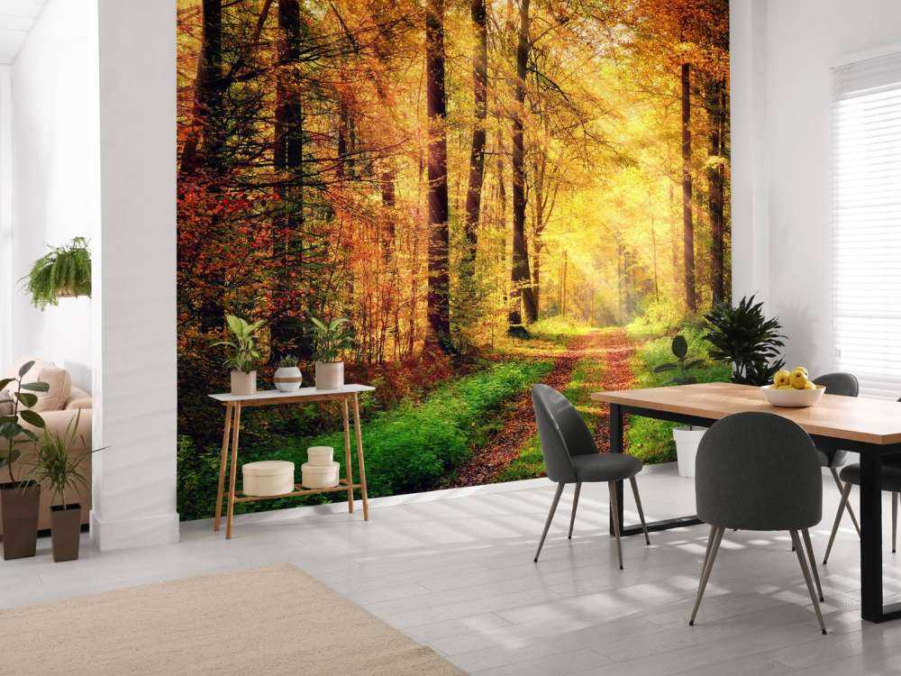 Zonsopkomst in het bos