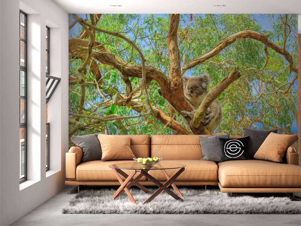 Koala in een Eucalyptus boom