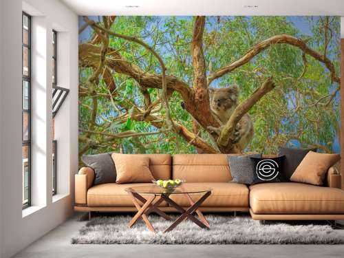 Koala in een Eucalyptus boom