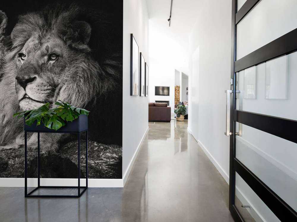 Leeuw & Leeuwin Zwart-Wit