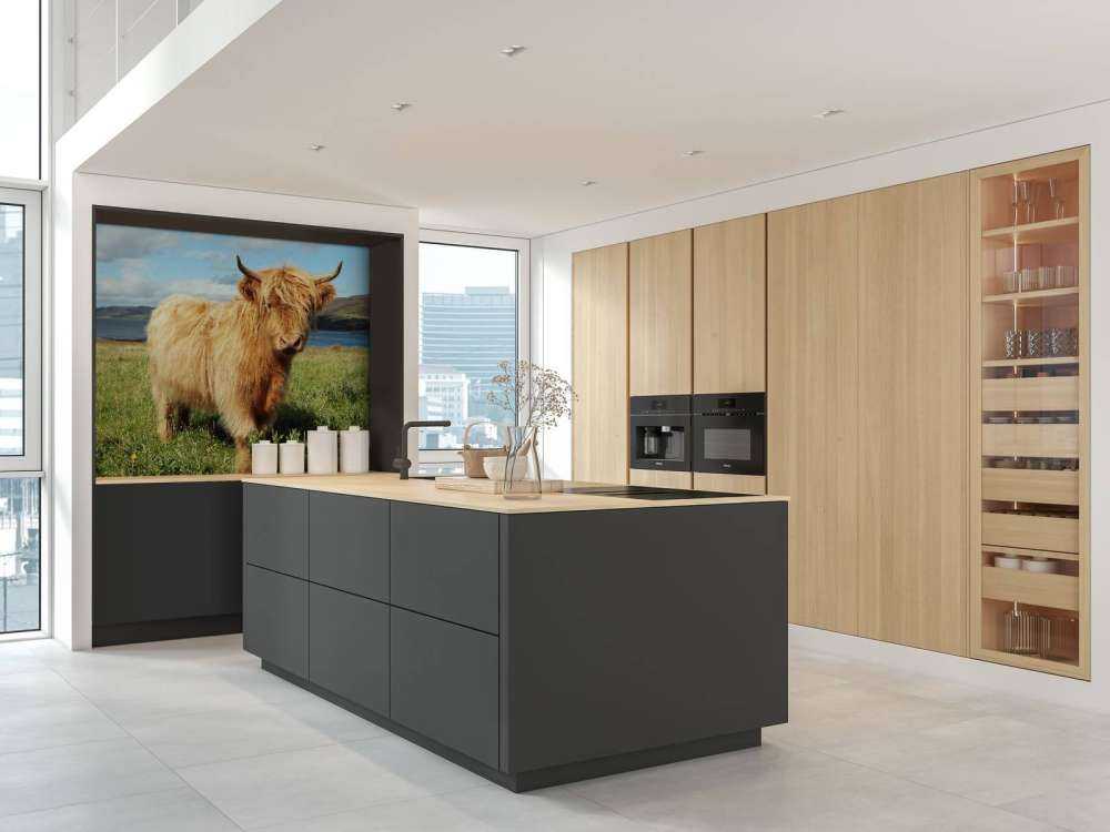 Schotse Hooglander in de natuur