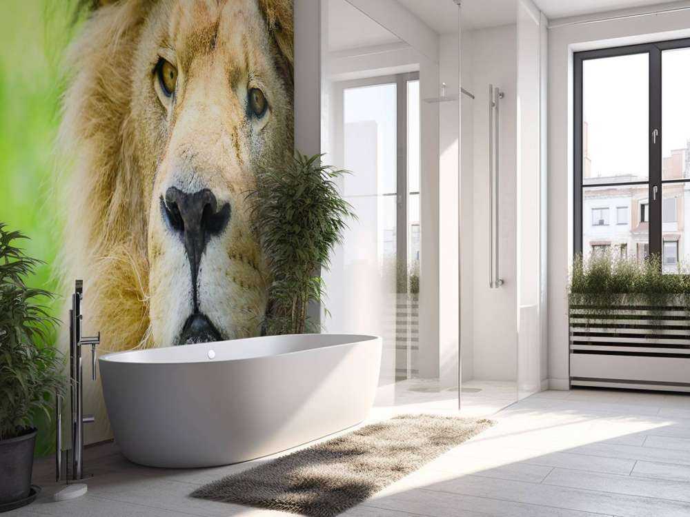 Gezicht van een Mooie Leeuw