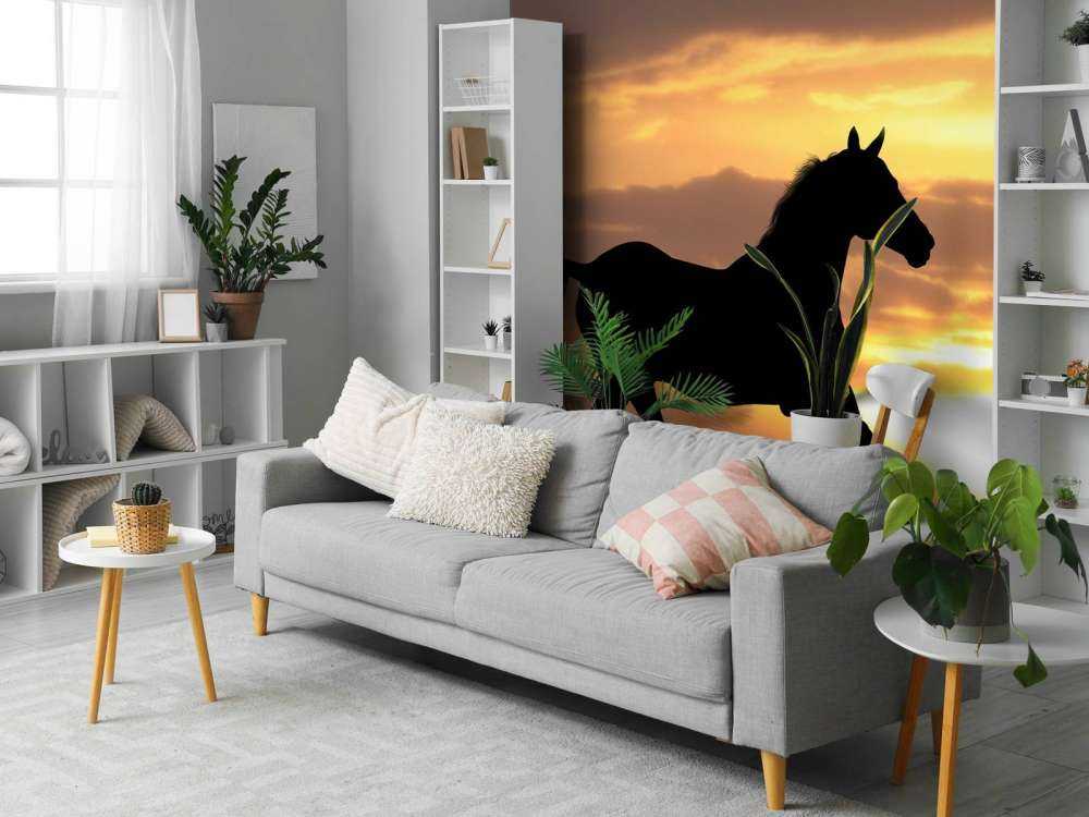 Paard tijdens Zonsondergang