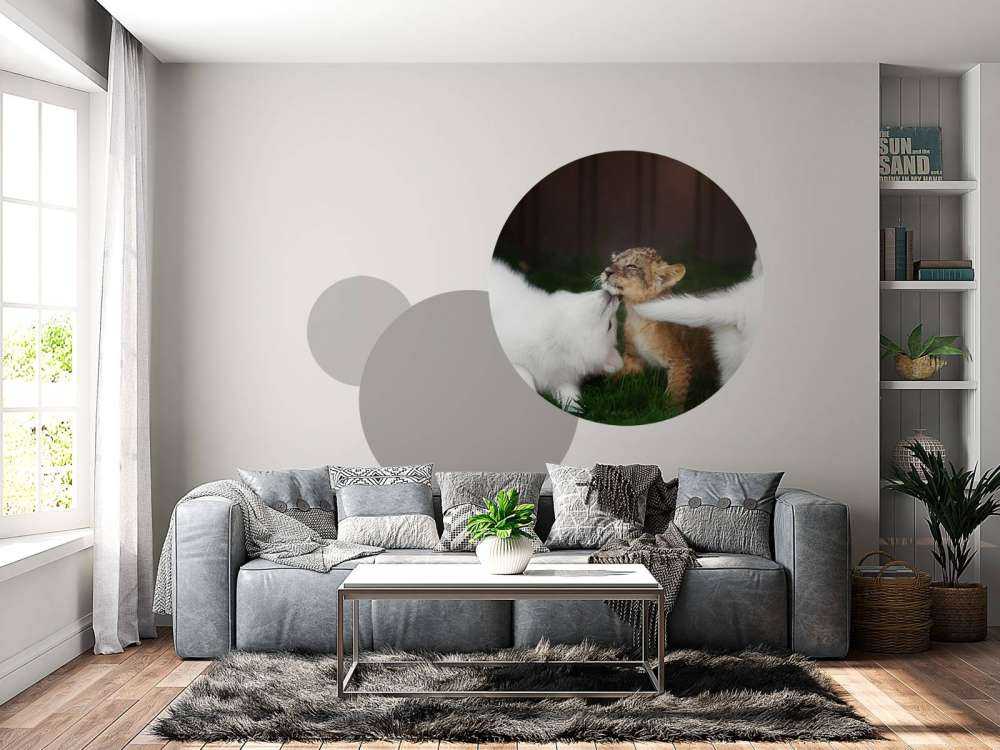 Welpje speelt met Zwitserse witte herders