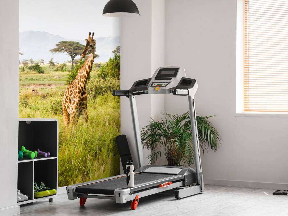 Giraffen in Tanzania