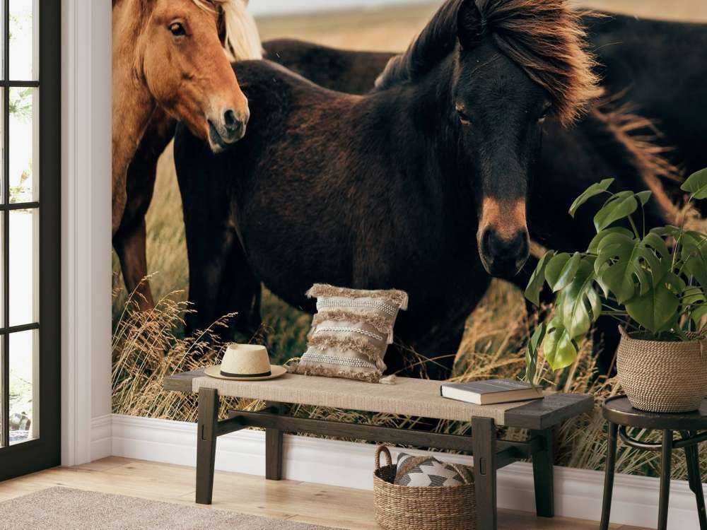 Prachtige paarden in de wind