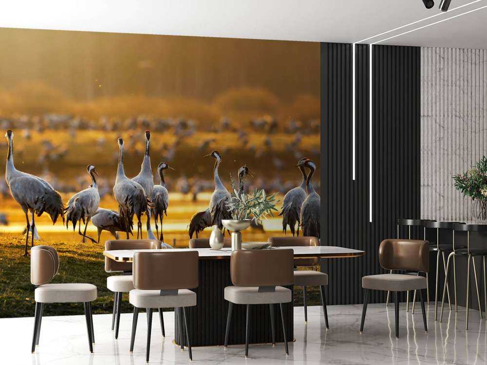 Kraanvogels in de ochtend