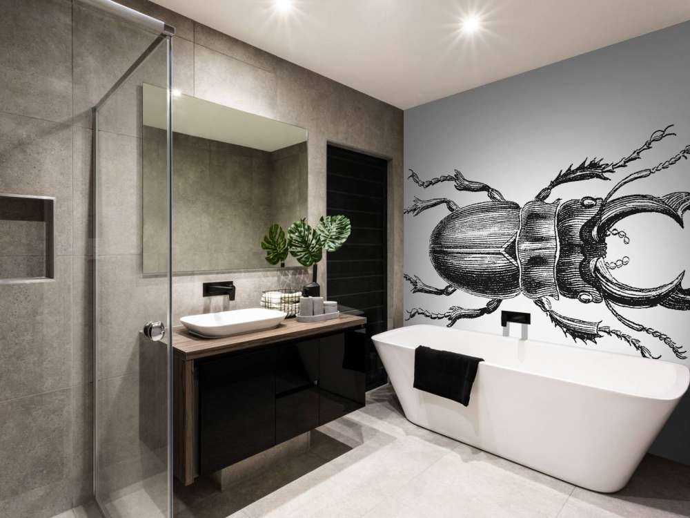 Stag beetle drawing