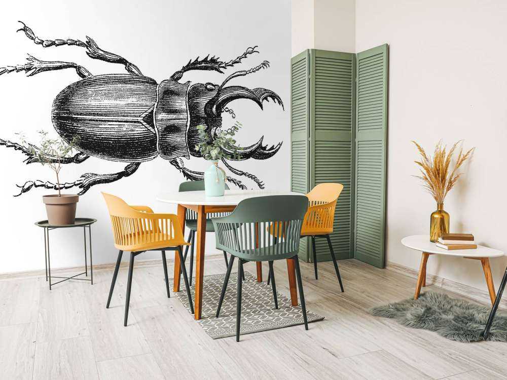 Stag beetle drawing