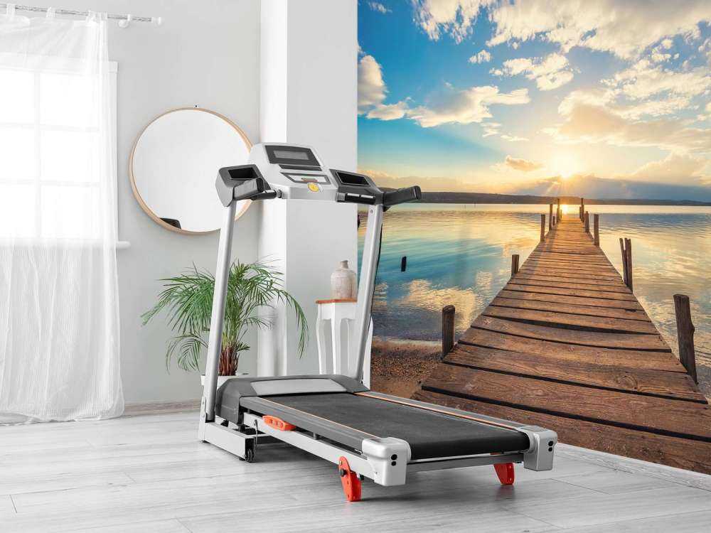 Steiger aan het meer