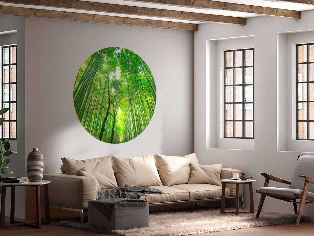 Bamboebos van Arashiyama