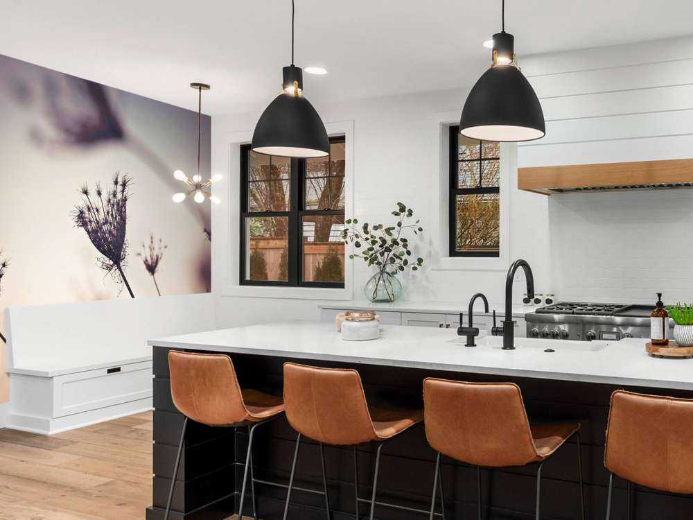 Silhouetten van planten