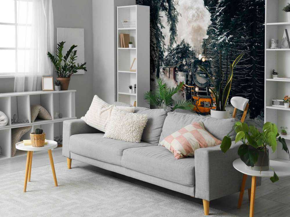 De Zweinstein express