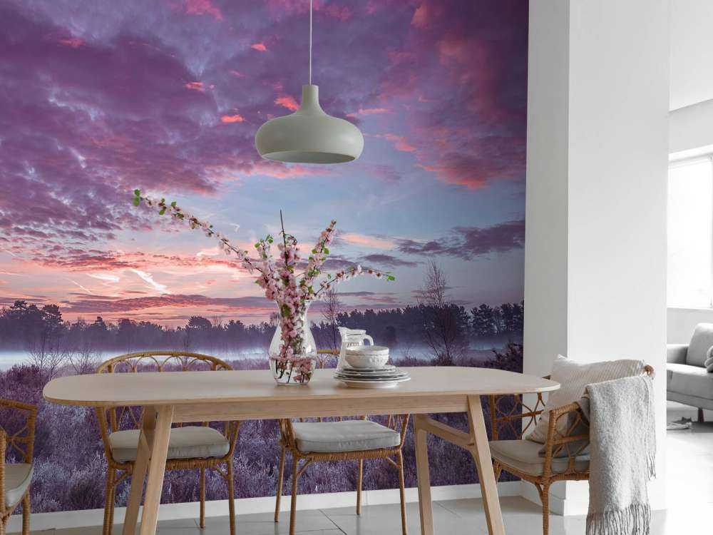 Weiland onder wolkenlucht