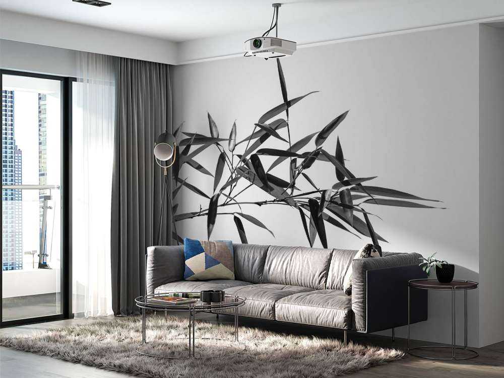 Bamboeblaadjes in zwart-wit