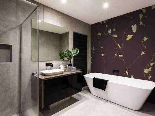 Haagwinde aubergine
