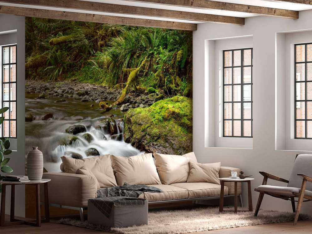 Groen rotsblok met riviertje