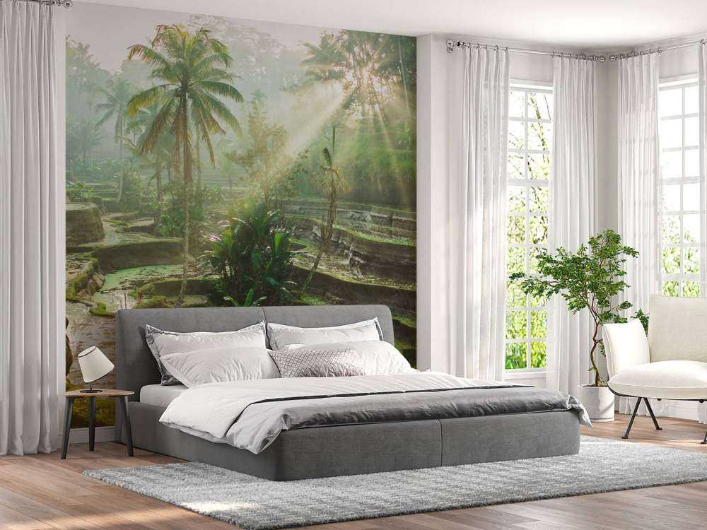 Rijstvelden in de jungle