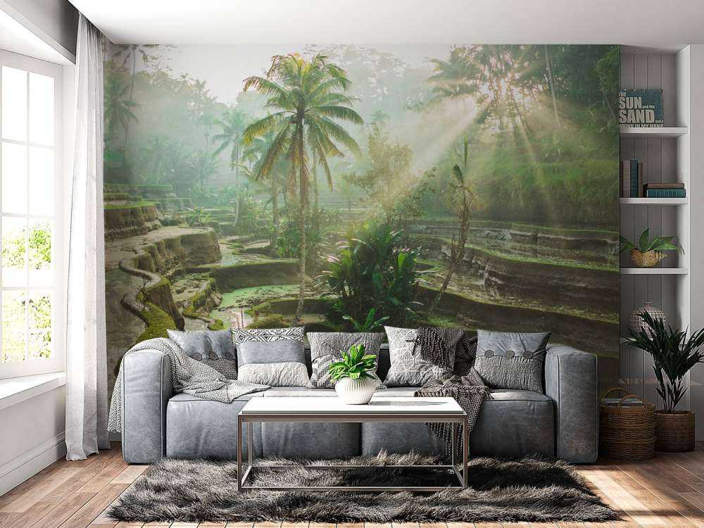 Rijstvelden in de jungle