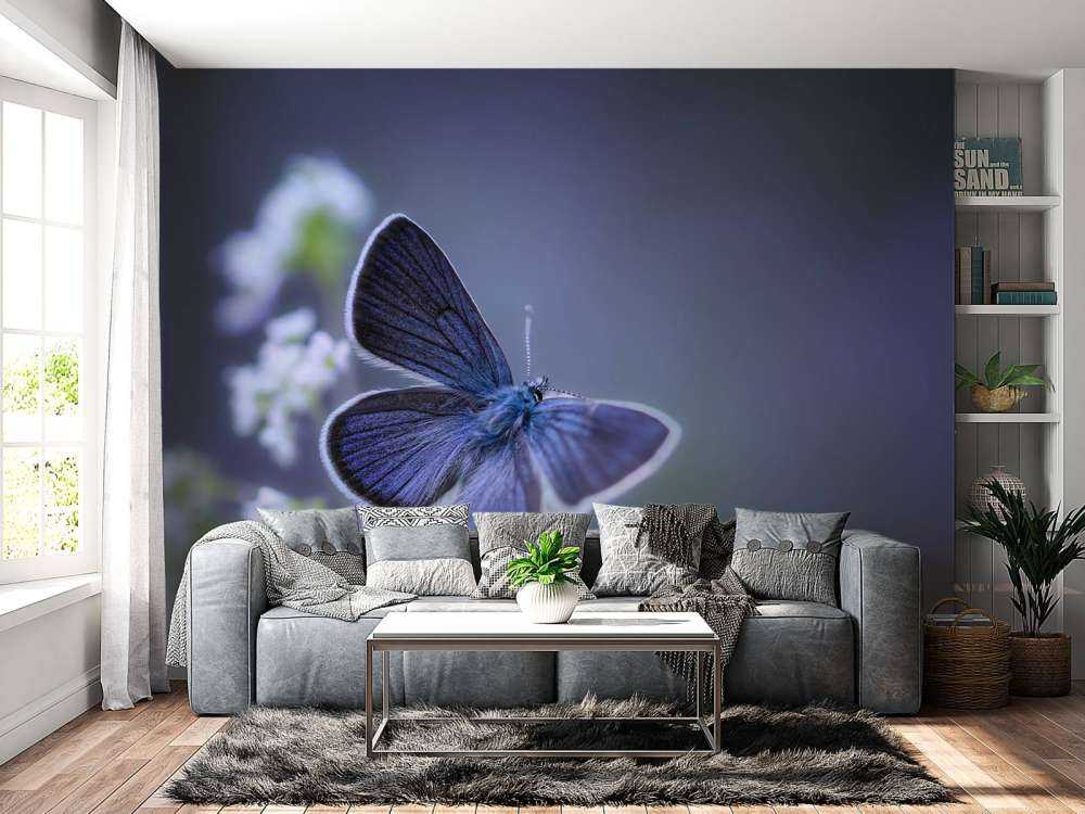 Blauwe vlinder