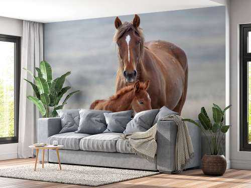 Wilde paarden
